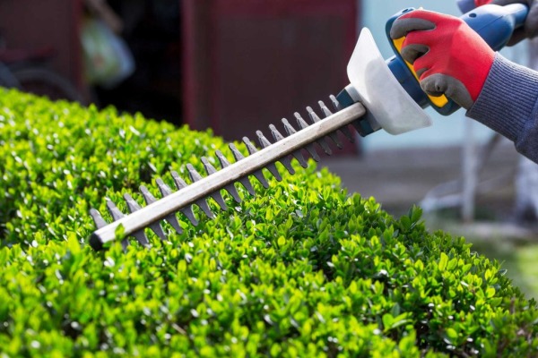 Hedge Trimming and Gardening Services - Murphys Nationwide Power Washing and Gardening